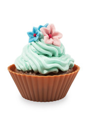 cupcake isolated