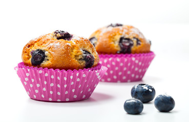 Blueberry muffins on white background