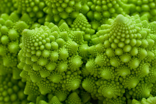 Fototapeta Fresh green cabbage romanesco, Brassica oleracea