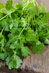 Coriander