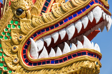 Obraz premium Dragon Face - Close Up