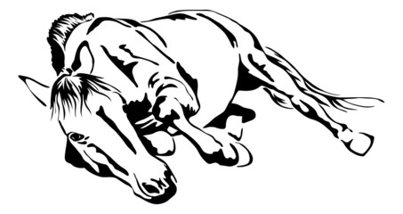 black and white vector outlines of rolling horse