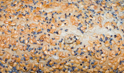 Mohn-Sesam-Brötchen closeup