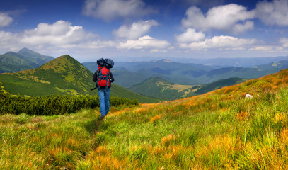 Fototapeta premium Hiker in the summer mountains