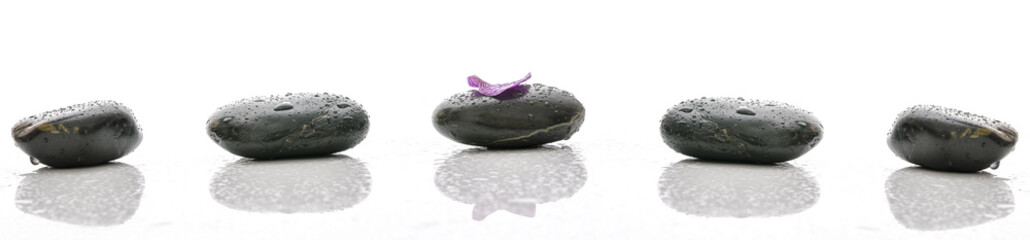 Petal on spa stone with water drops