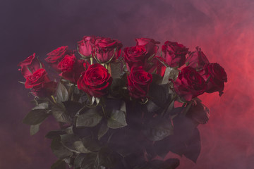 red roses on a neon red smoky background