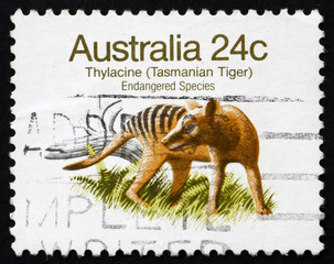 Postage stamp Australia 1981 Tasmanian Tiger, Extinct Animal