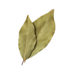 Bay leaves isolated on white background