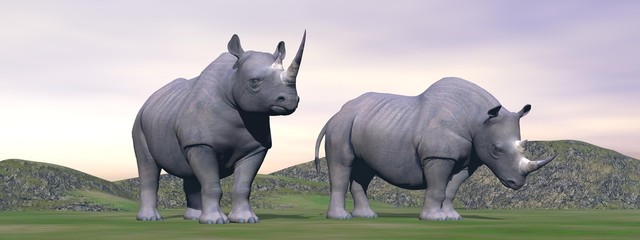 Obraz premium Lost rhinoceros - 3D render