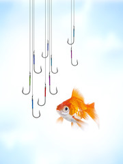 Danger et Piége Poisson Rouge