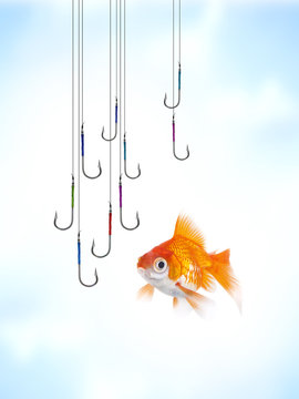 Danger et Pi&eacute;ge Poisson Rouge