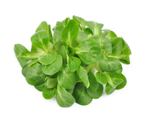 Valerianella lettuce