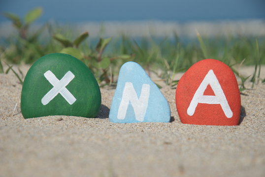 xna, xeno nucleic acid concept on stones