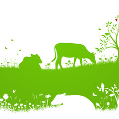 Biologische Landwirtschaft