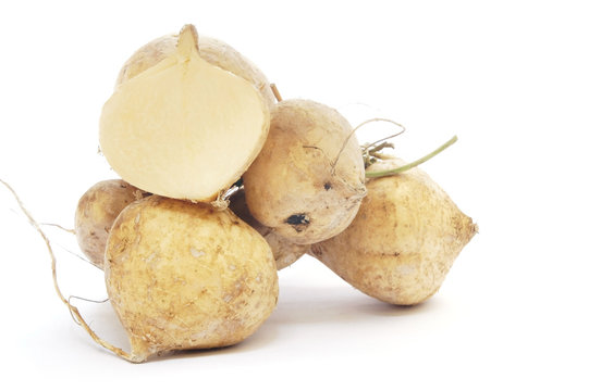 jicama on white background