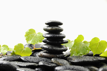 stones stack in balance with ivy