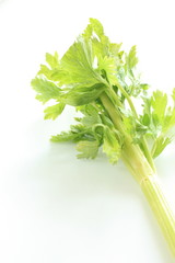 freshness celery from Japan on white background