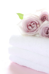 Obraz na płótnie Canvas pastel purple roses on white towel for laundry