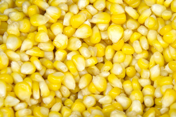 Organic yellow corn