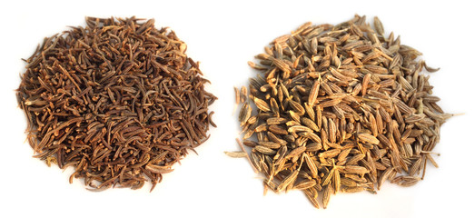 Two Types of Cummins of Indian subcontinent