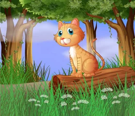 Photo sur Plexiglas Chats Un chat dans une forêt