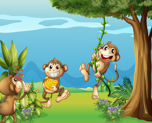 Les trois singes dans les collines