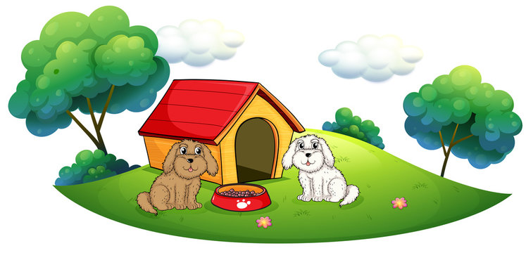 An island with a doghouse and two puppies