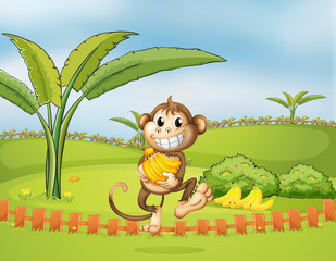 Un singe s& 39 enfuyant avec des bananes