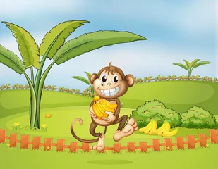 Cercles muraux Zoo Un singe s& 39 enfuyant avec des bananes
