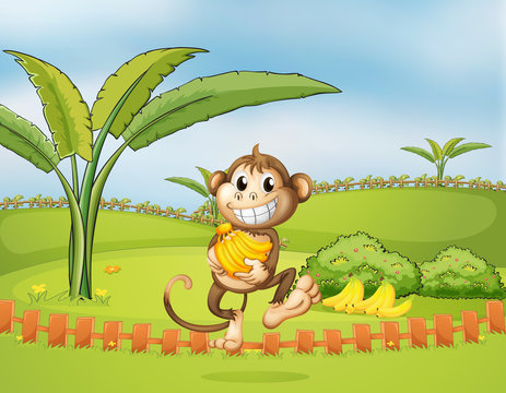 A monkey running away with bananas