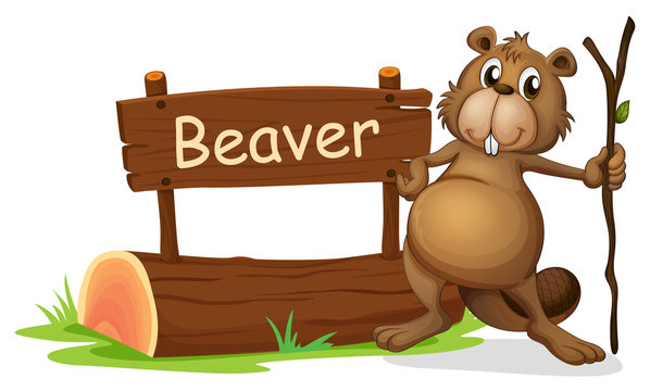 A signboard and a beaver with a stick