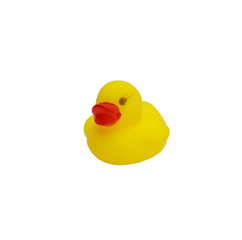 Cute yellow rubber duck isolated