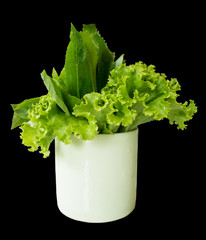 Lettuce and long coriander leaves in a glass