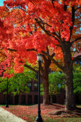College campus