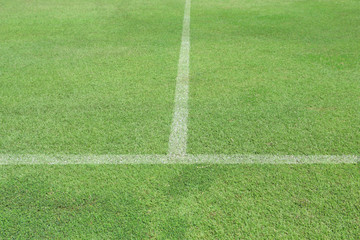 Obraz premium Green grass white line football pitch