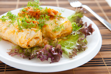 Ukrainian cabbage rolls on a white plate