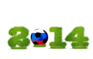 Russia soccer 2014.