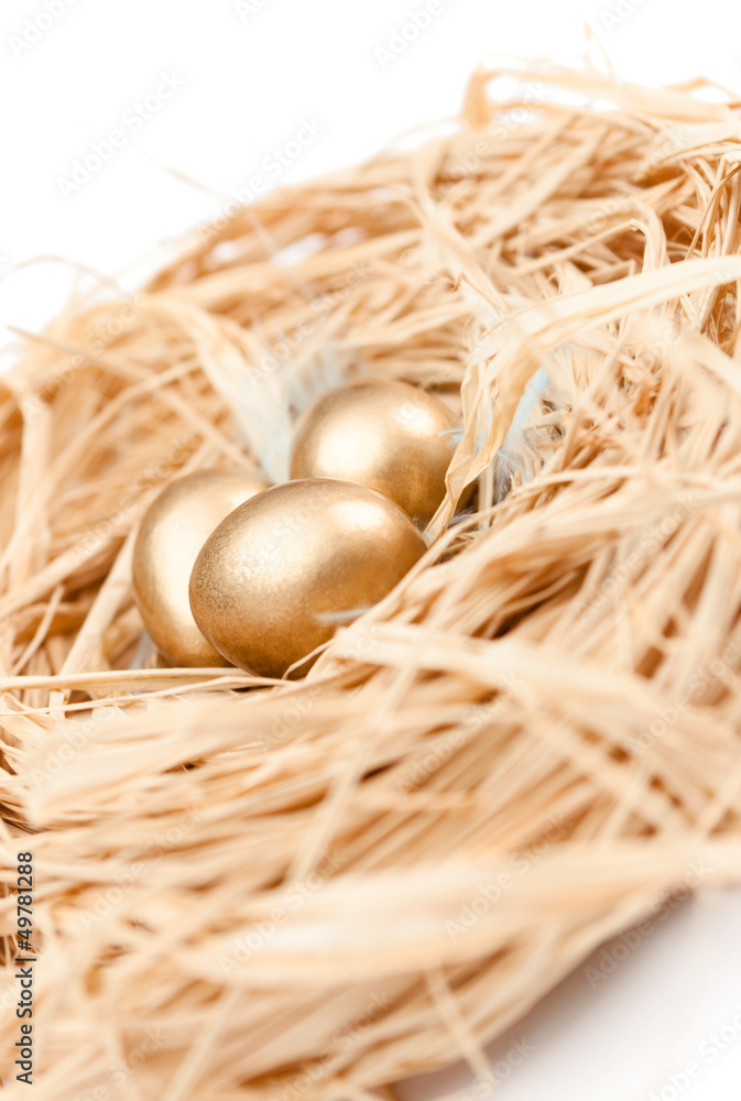 Wall mural Nest with golden quail eggs, isolated on white, close up