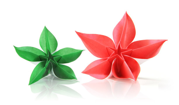Flower exotic origami