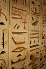 Old egypt hieroglyphs carved on the stone