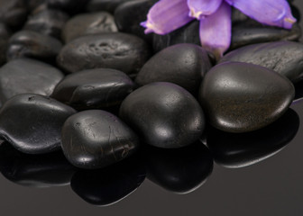 Fototapeta na wymiar the black stone to a Spa in the droplets of water isolated