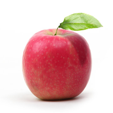 pomme pink