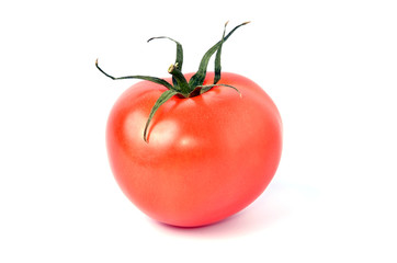 Fresh tomato