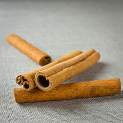 Cinnamon sticks in scoop
