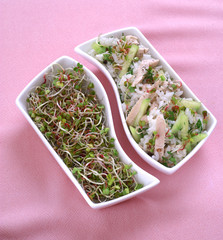 Spring salad with sprouts, rice, chicken, cucumber - obrazy, fototapety, plakaty