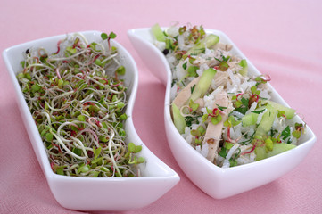 Spring salad with sprouts, rice, chicken, cucumber