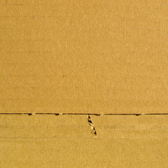 Corrugated cardboard