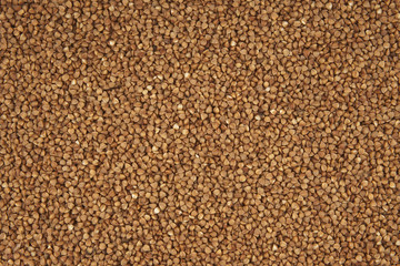 buckwheat