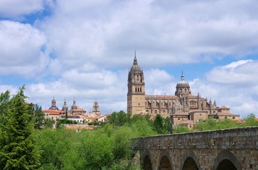 Salamanca Kathedrale 03