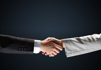 image of business handshake